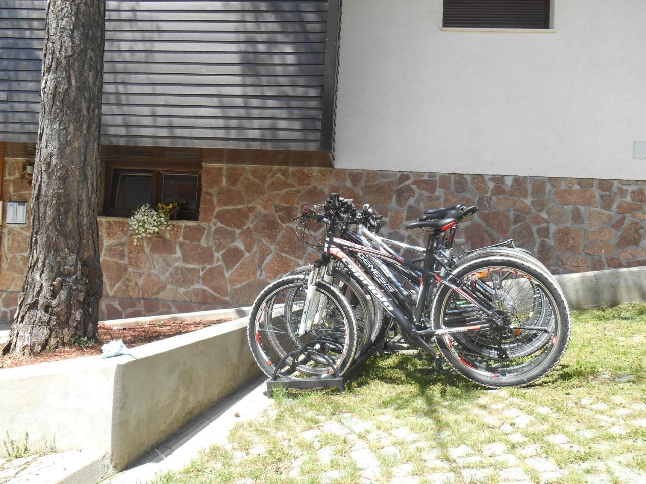 Vila Plamenac Divčibare Buitenkant foto